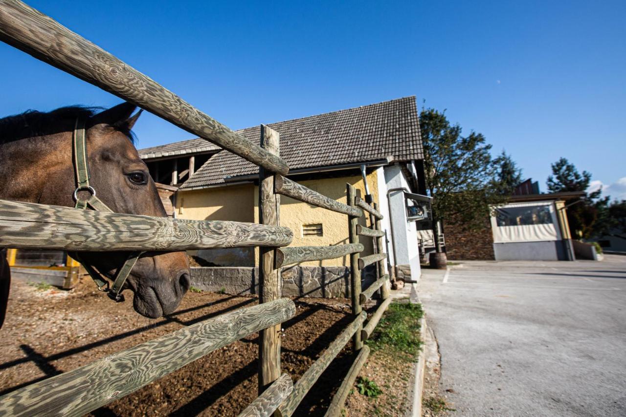 Gostilna Pugelj Otel Novo Mesto Dış mekan fotoğraf